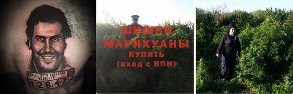 соль ск Арсеньев