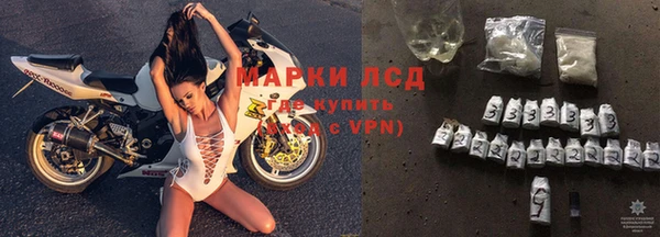 дживик Аркадак