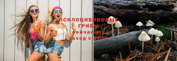 соль ск Арсеньев